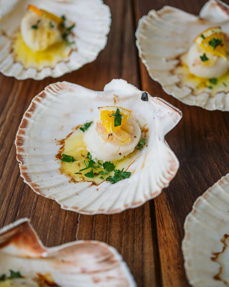 Coquilles Saint-Jacques au Noilly Prat servies dans leur coquille avec sauce crémeuse et persil