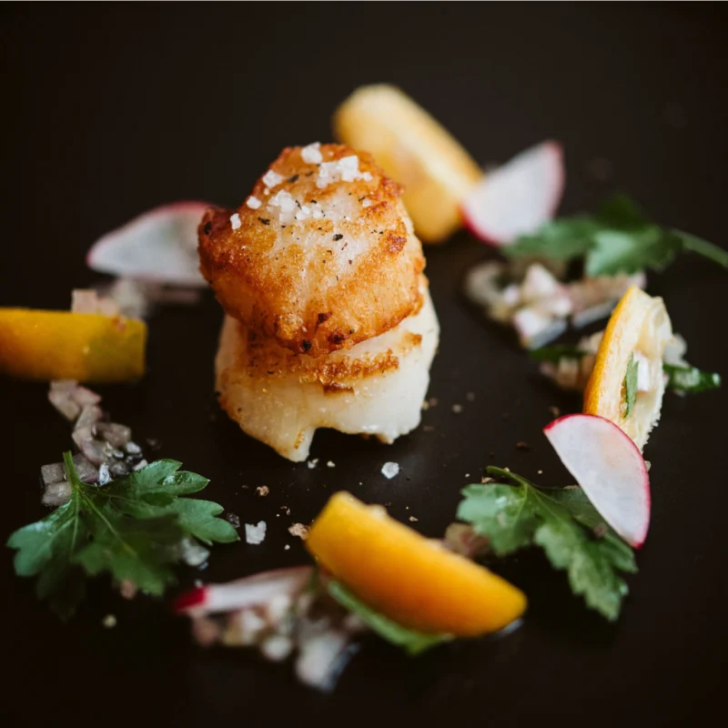 Noix de Saint-Jacques dorée à la fleur de sel, quartiers de kumquat, lamelles de radis et persil sur fond noir