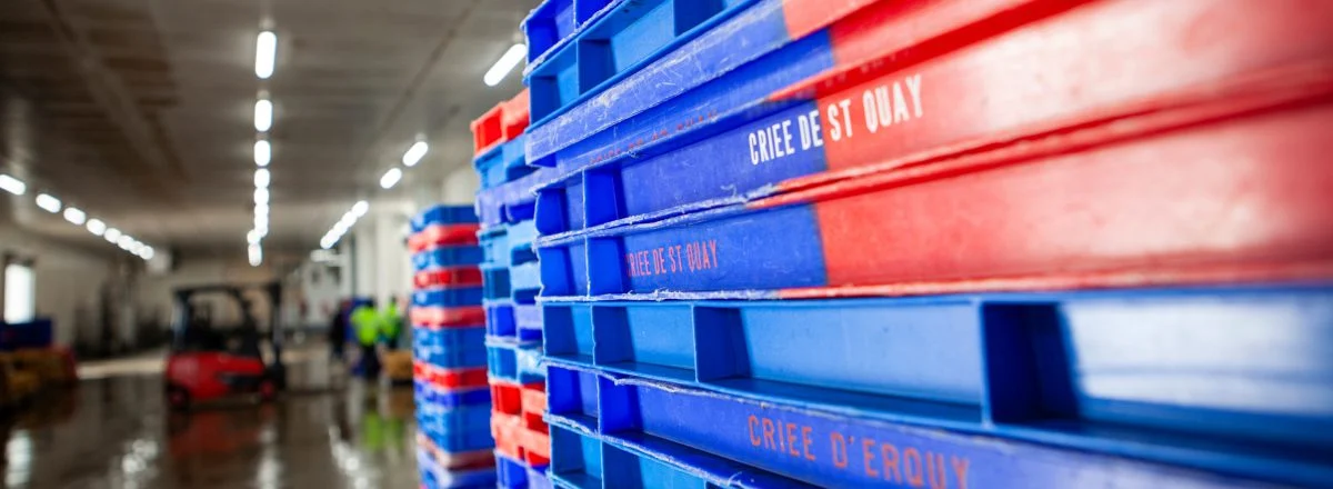 Caisses empilées aux noms des criées de Saint-Quay et d'Erquy, dans une halle à marée